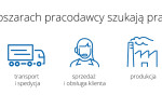 Pracodawcy szukają_infografika